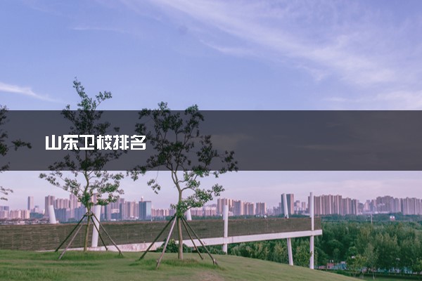 山东卫校排名