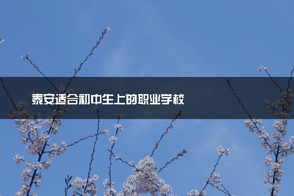 泰安适合初中生上的职业学校