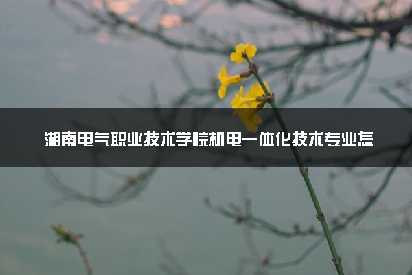 湖南电气职业技术学院机电一体化技术专业怎么样 录取分数线多少