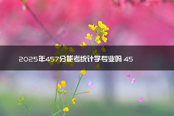 2025年457分能考统计学专业吗 457分统计学专业大学推荐