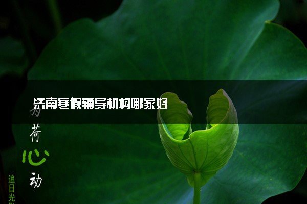 济南寒假辅导机构哪家好