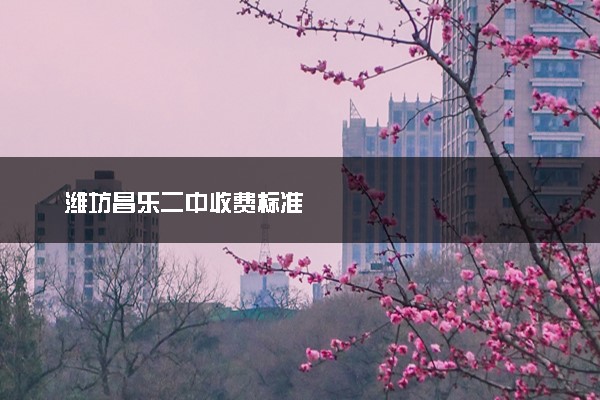 潍坊昌乐二中收费标准