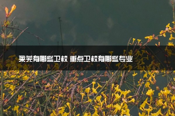 莱芜有哪些卫校 重点卫校有哪些专业