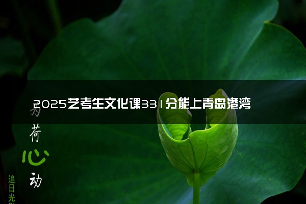 2025艺考生文化课331分能上青岛港湾职业技术学院吗
