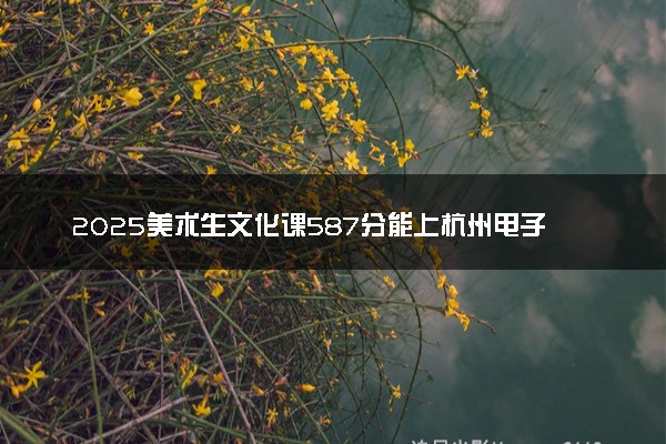 2025美术生文化课587分能上杭州电子科技大学吗