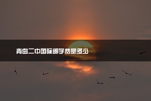 青岛二中国际部学费是多少