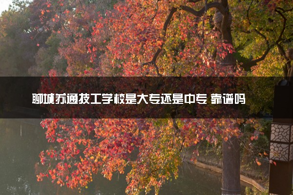 聊城苏通技工学校是大专还是中专 靠谱吗