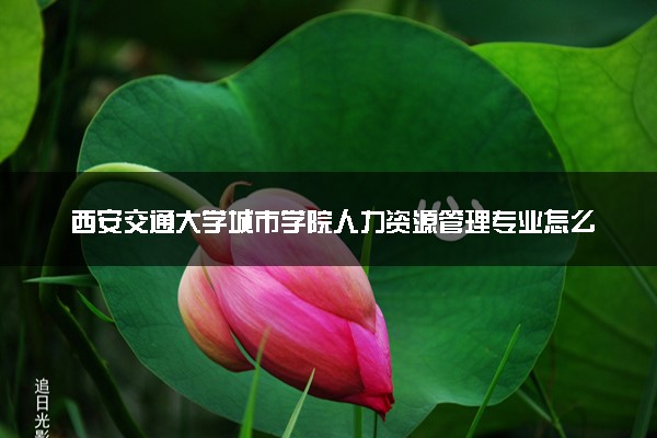 西安交通大学城市学院人力资源管理专业怎么样 录取分数线多少
