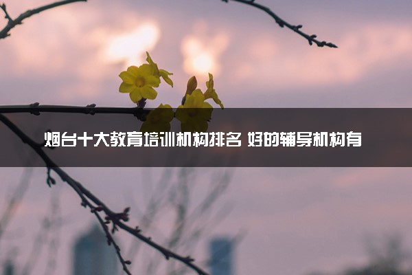 烟台十大教育培训机构排名 好的辅导机构有哪些