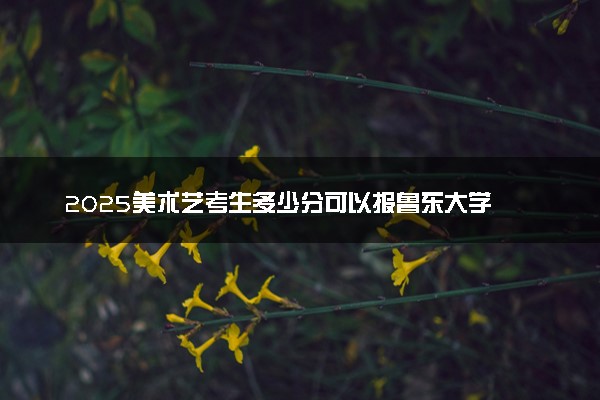 2025美术艺考生多少分可以报鲁东大学