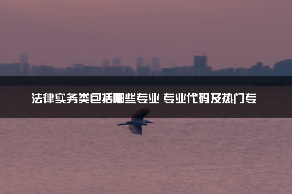 法律实务类包括哪些专业 专业代码及热门专业推荐