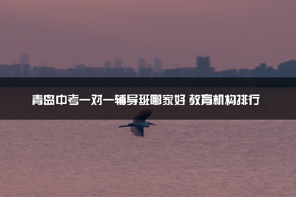 青岛中考一对一辅导班哪家好 教育机构排行榜