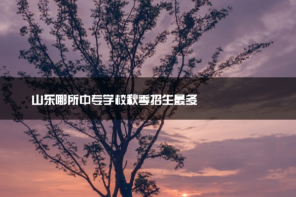 山东哪所中专学校秋季招生最多