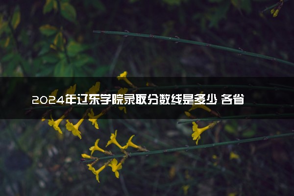 2024年辽东学院录取分数线是多少 各省最低分数线及位次
