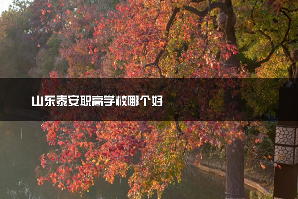 山东泰安职高学校哪个好