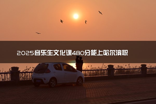 2025音乐生文化课480分能上哈尔滨职业技术大学吗