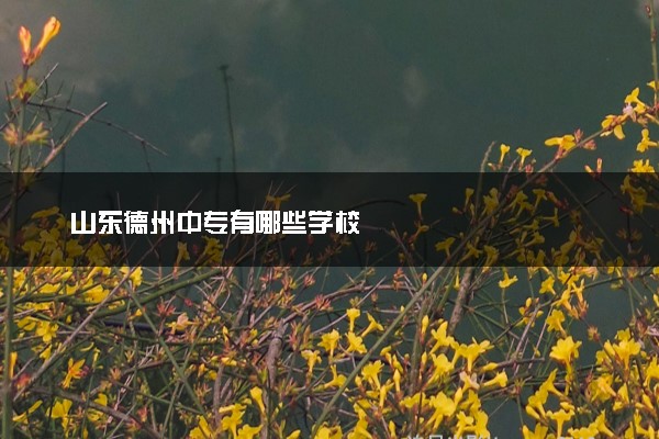 山东德州中专有哪些学校