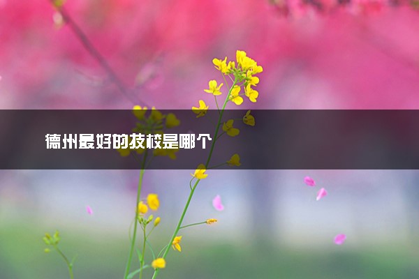 德州最好的技校是哪个