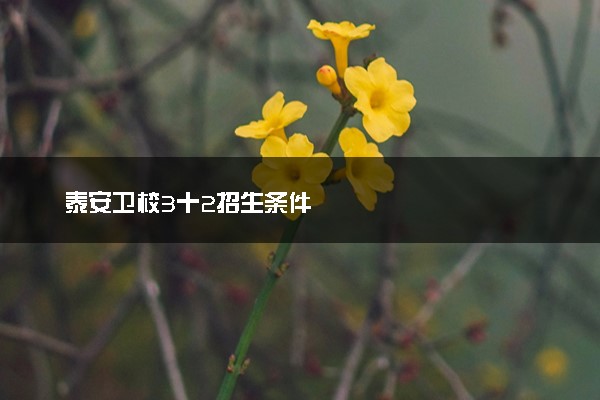 泰安卫校3十2招生条件