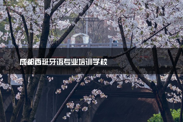 成都西班牙语专业培训学校