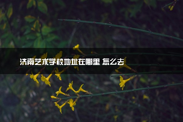 济南艺术学校地址在哪里 怎么去