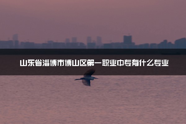 山东省淄博市博山区第一职业中专有什么专业