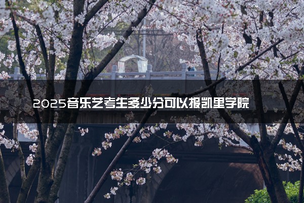 2025音乐艺考生多少分可以报凯里学院