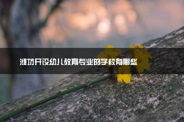 潍坊开设幼儿教育专业的学校有哪些