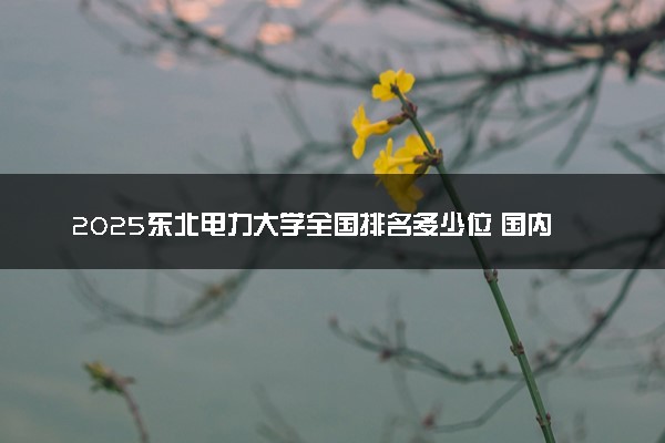 2025东北电力大学全国排名多少位 国内第几名