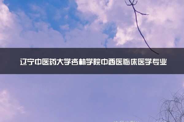 辽宁中医药大学杏林学院中西医临床医学专业怎么样 录取分数线多少