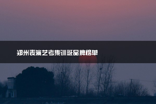 郑州表演艺考集训班品牌榜单