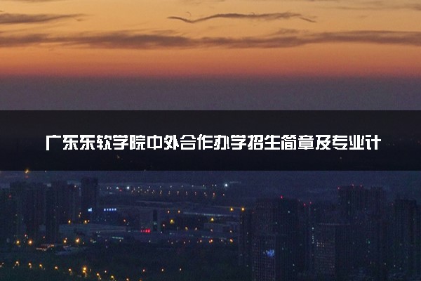 广东东软学院中外合作办学招生简章及专业计划（2025参考）