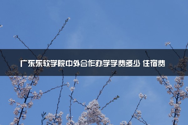 广东东软学院中外合作办学学费多少 住宿费多少