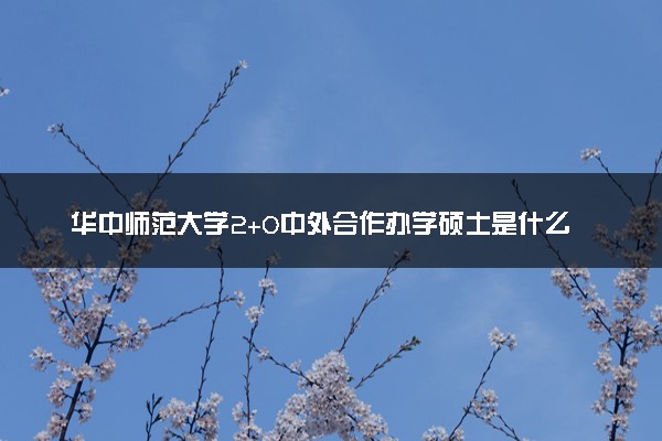 华中师范大学2+0中外合作办学硕士是什么专业方向