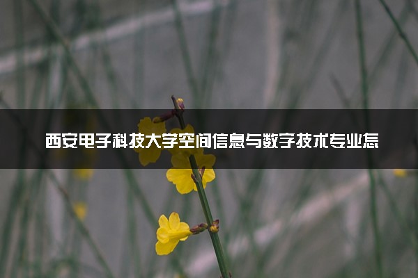 西安电子科技大学空间信息与数字技术专业怎么样 录取分数线多少