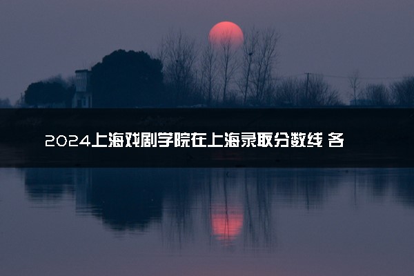 2024上海戏剧学院在上海录取分数线 各专业分数及位次