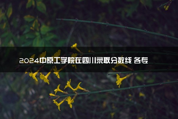 2024中原工学院在四川录取分数线 各专业分数及位次