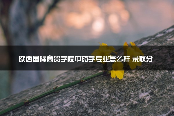 陕西国际商贸学院中药学专业怎么样 录取分数线多少