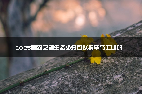2025舞蹈艺考生多少分可以报毕节工业职业技术学院