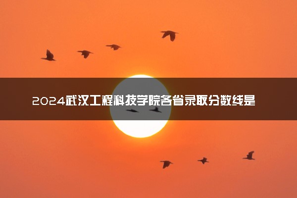 2024武汉工程科技学院各省录取分数线是多少 最低分及位次