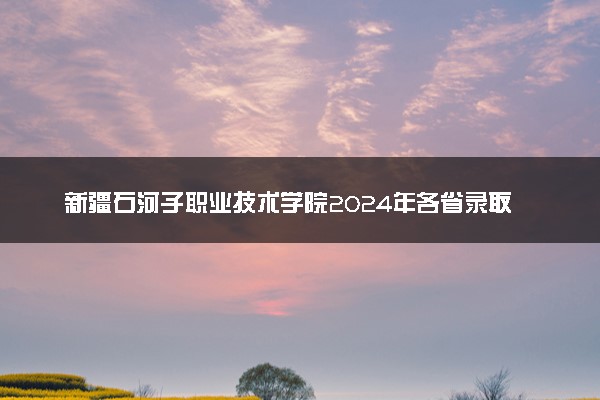 新疆石河子职业技术学院2024年各省录取分数线 多少分能考上