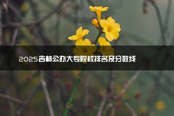 2025吉林公办大专院校排名及分数线