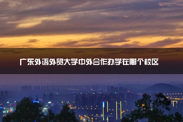 广东外语外贸大学中外合作办学在哪个校区 在什么地方