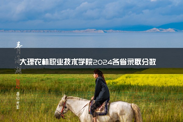 大理农林职业技术学院2024各省录取分数线及最低位次是多少