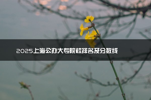 2025上海公办大专院校排名及分数线
