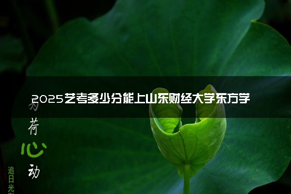 2025艺考多少分能上山东财经大学东方学院 最低分数线是多少