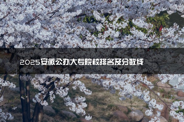 2025安徽公办大专院校排名及分数线
