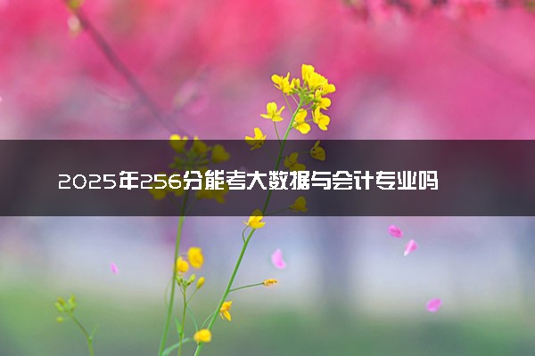 2025年256分能考大数据与会计专业吗 256分大数据与会计专业大学推荐