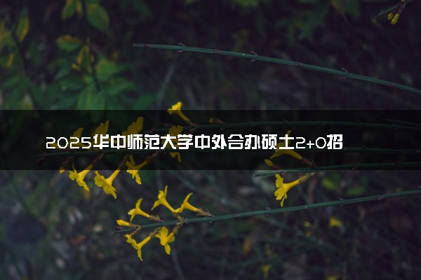 2025华中师范大学中外合办硕士2+0招生人数计划及学费
