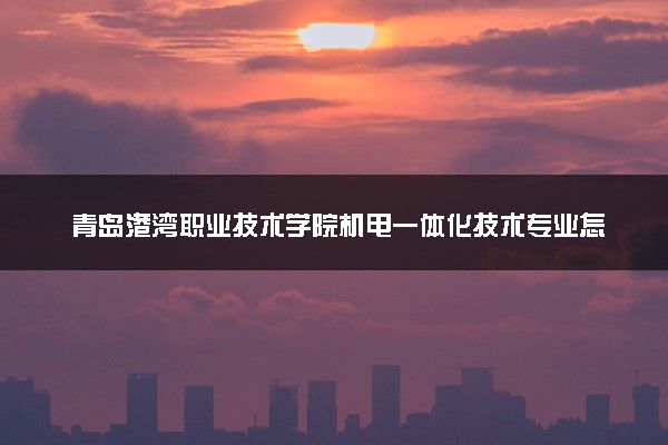 青岛港湾职业技术学院机电一体化技术专业怎么样 录取分数线多少